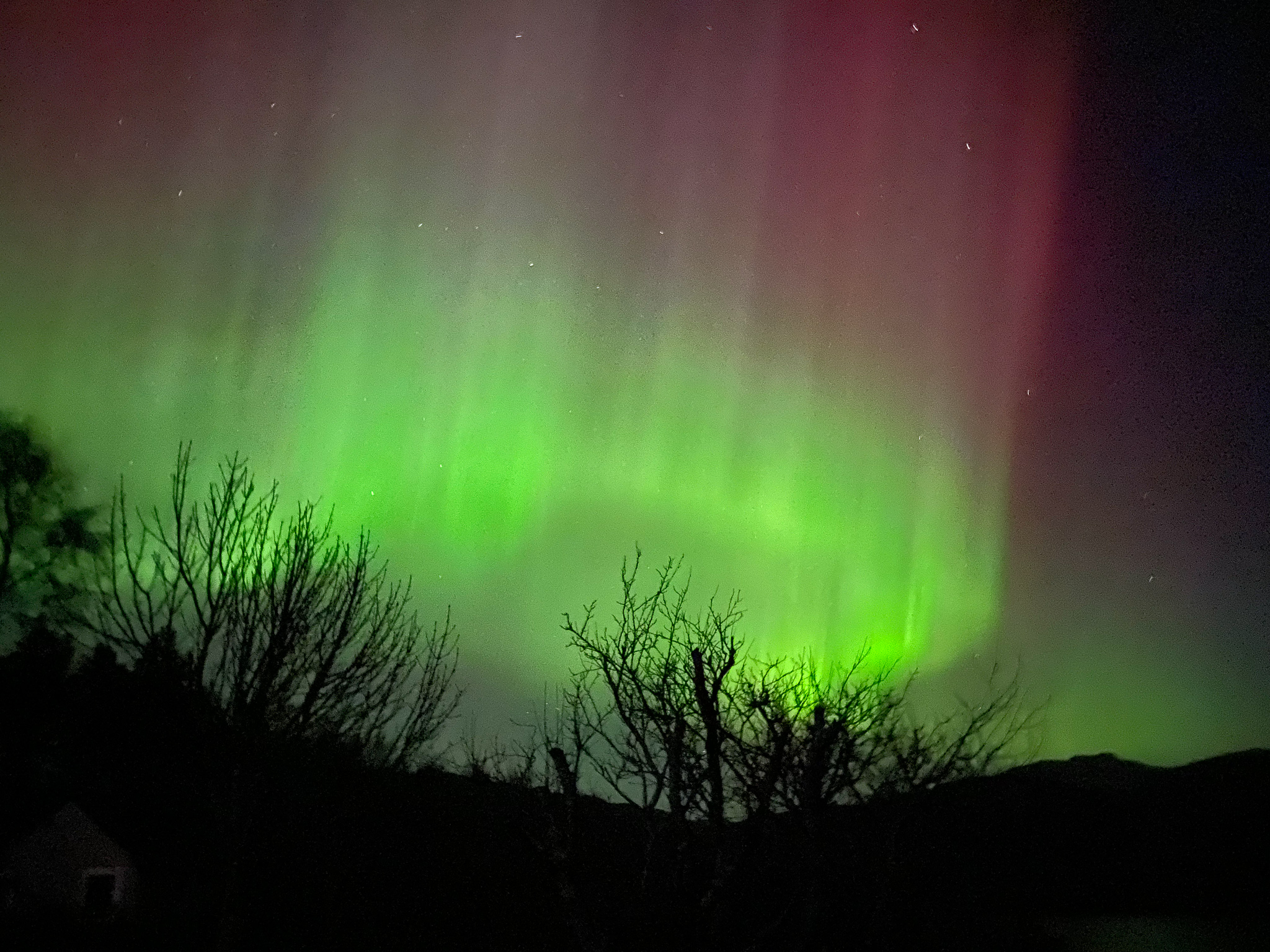 Aurora 26/3/23
